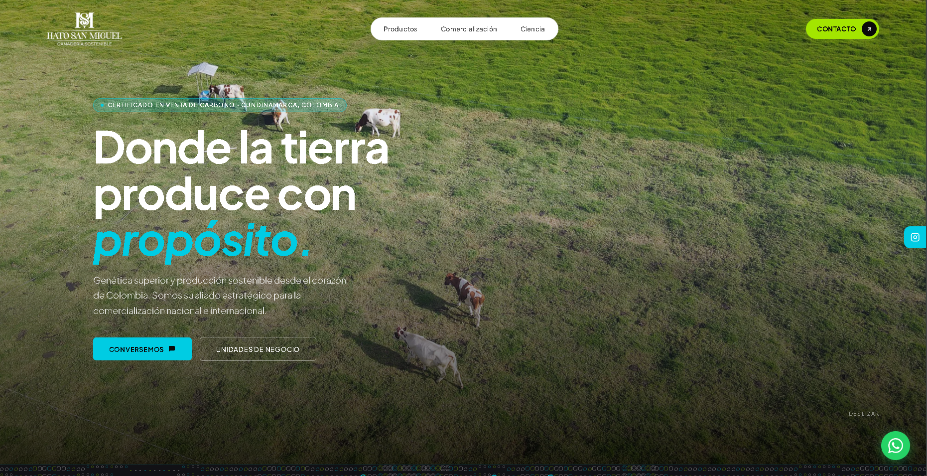 Vista previa de hatosanmiguel.com